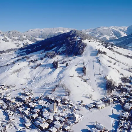 Guest house Chalet Sonne *